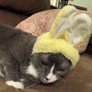 Meet your Posher, Morgan